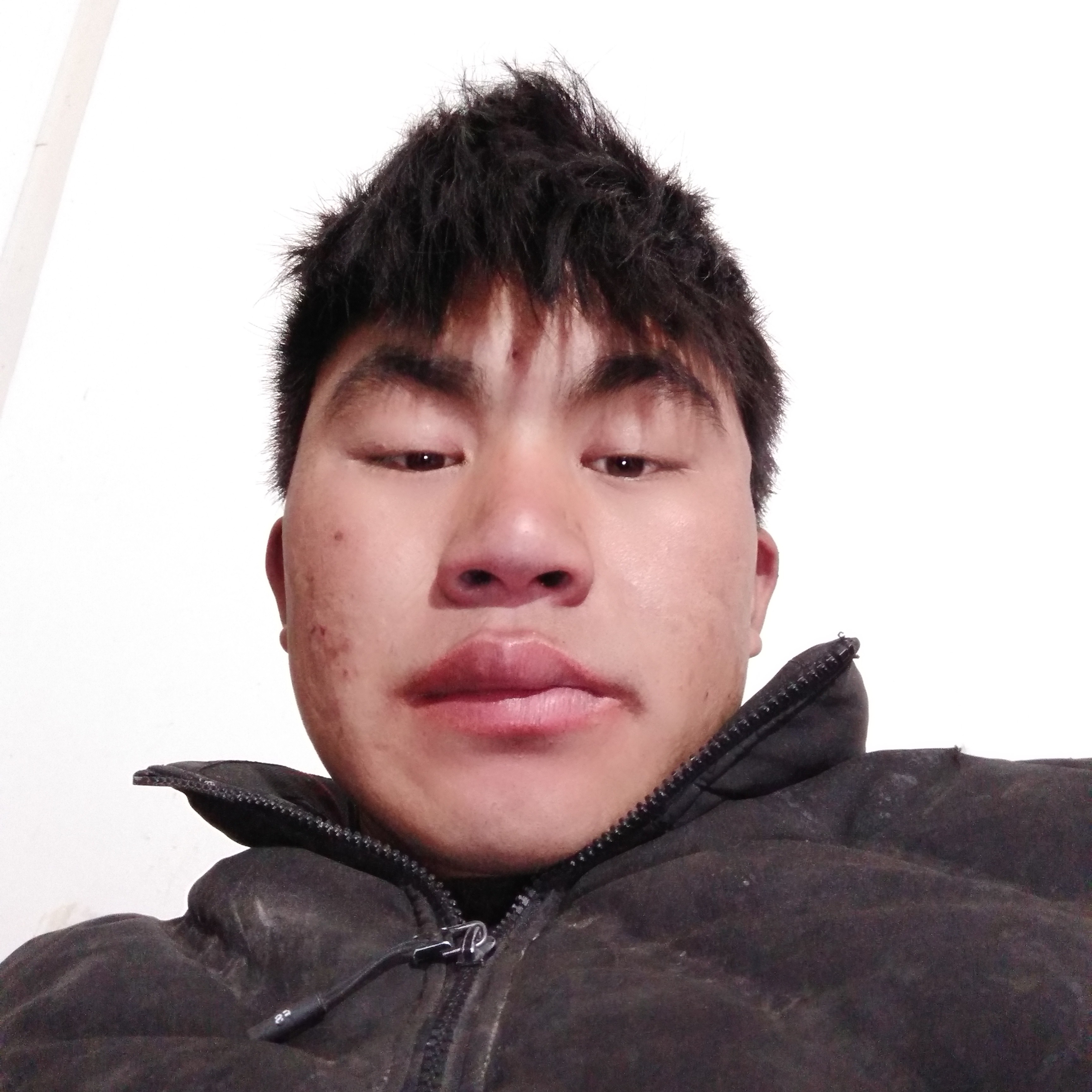 小甜瓜蹁跹自觉的照片