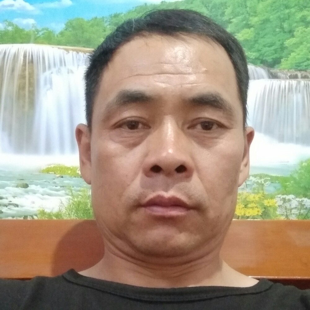 芝下的照片