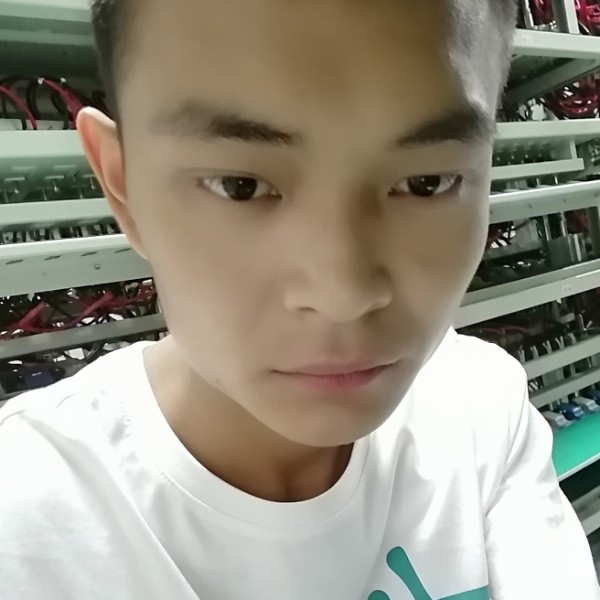 斑马請内向的照片