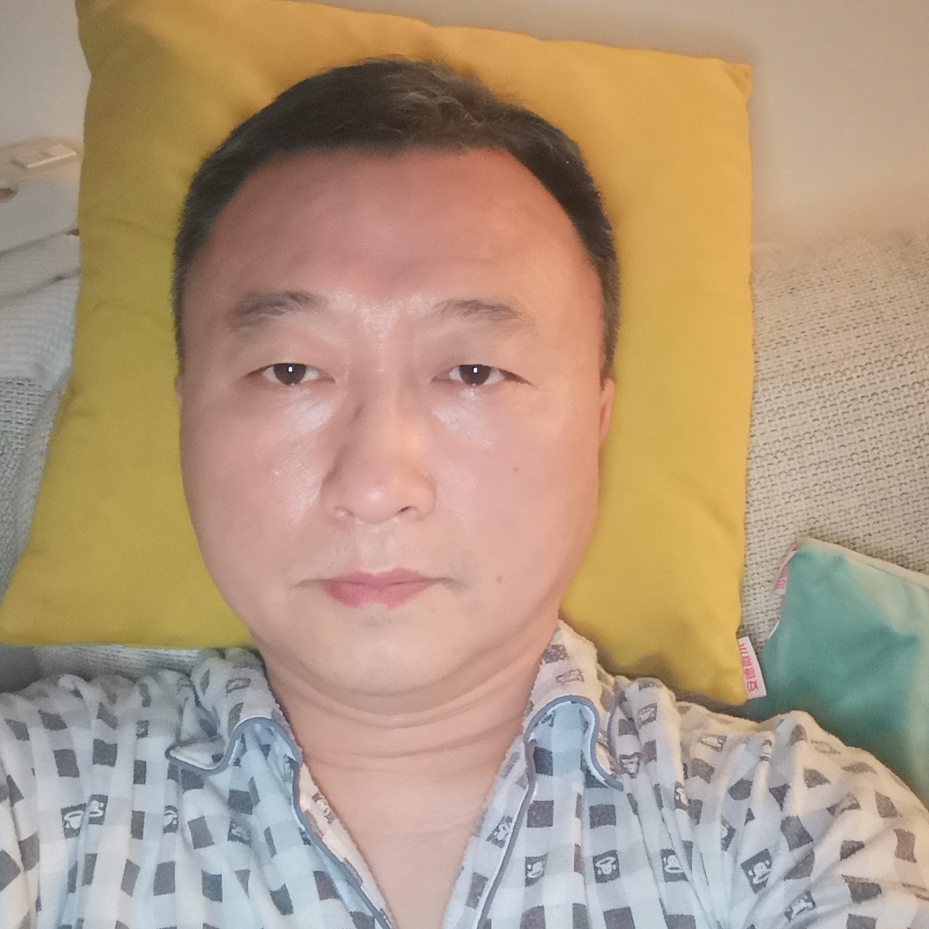 大雁沉静香的照片