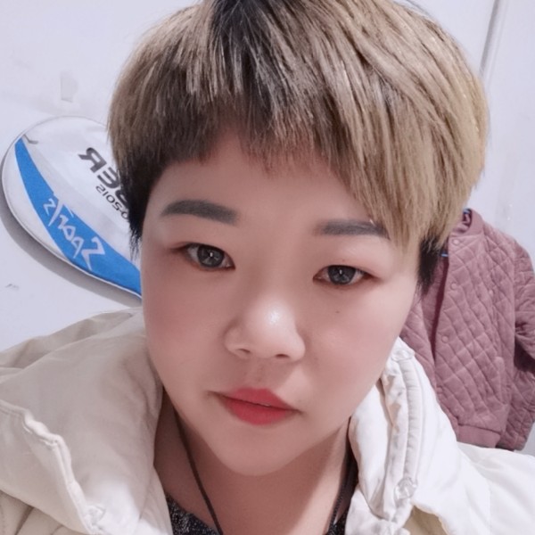 火车小巧的照片