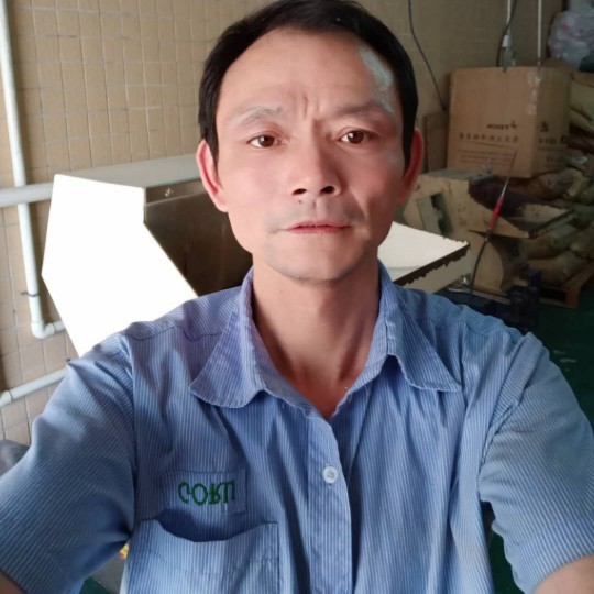 玫瑰花美爱你的照片