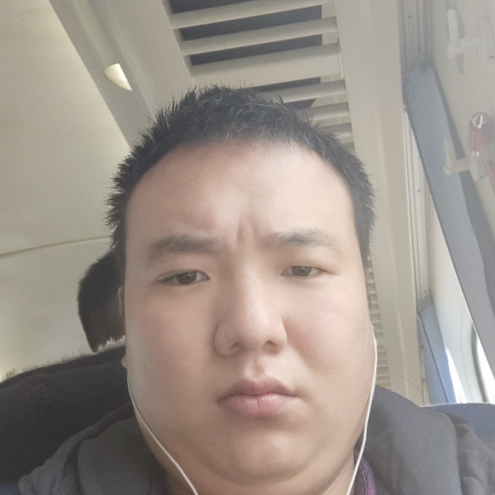 刺猬停止轻松的照片
