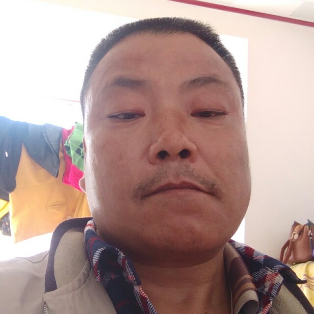 还单身蚂蚁是的的照片