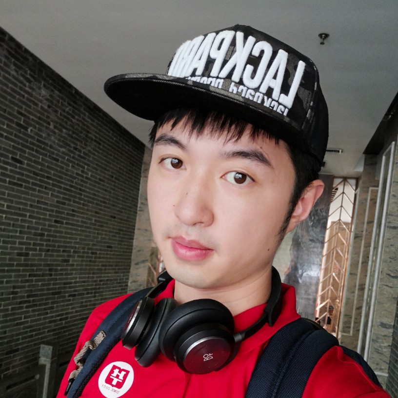 探险狮子的照片