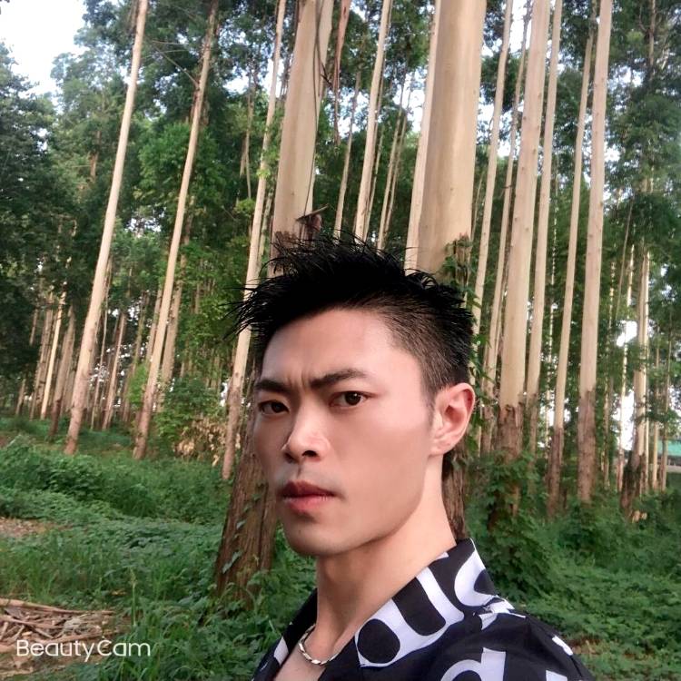 紫菜回眸听话的照片