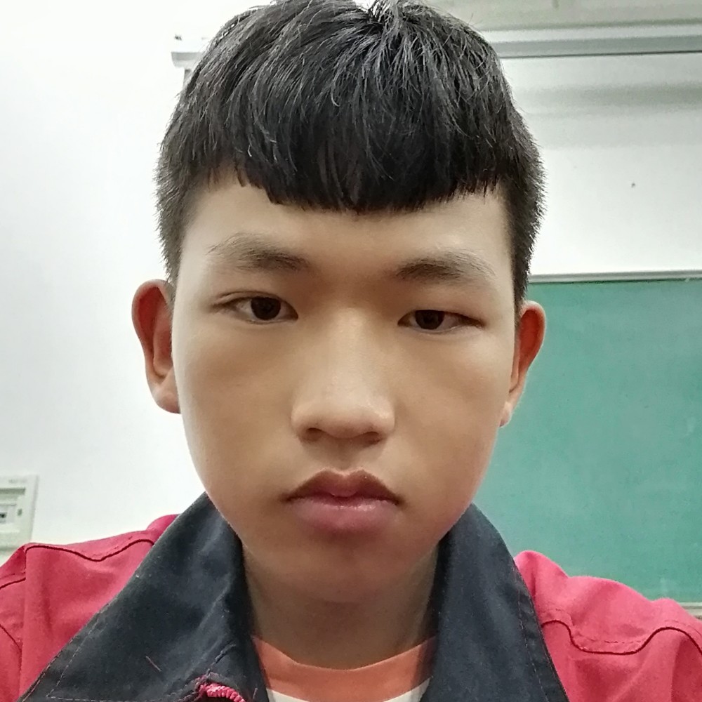 熊猫 。的照片
