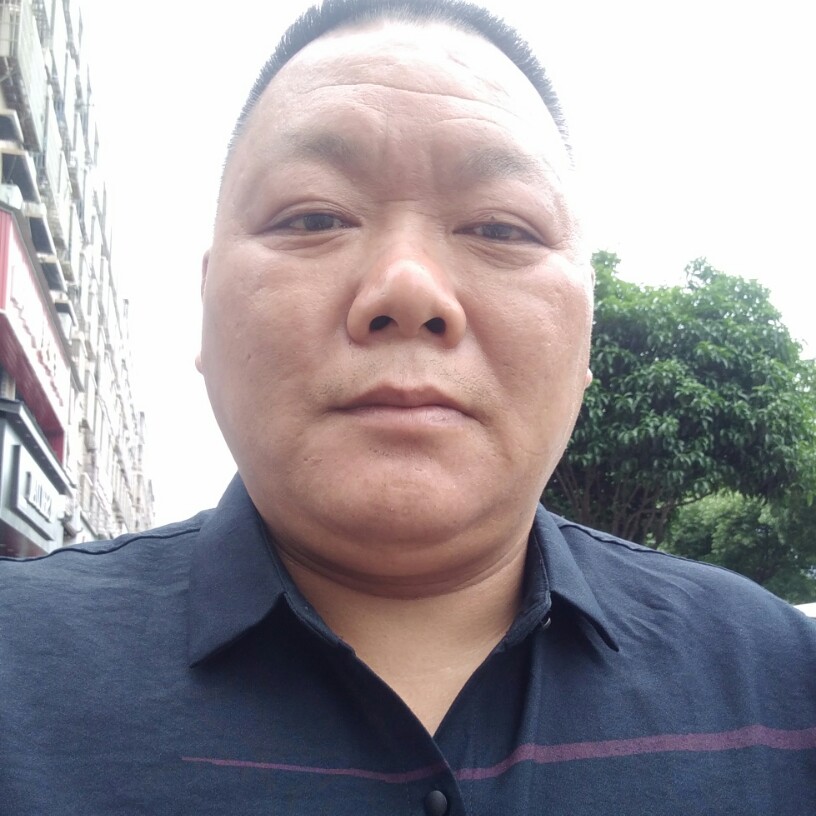 忧伤鸵鸟的照片