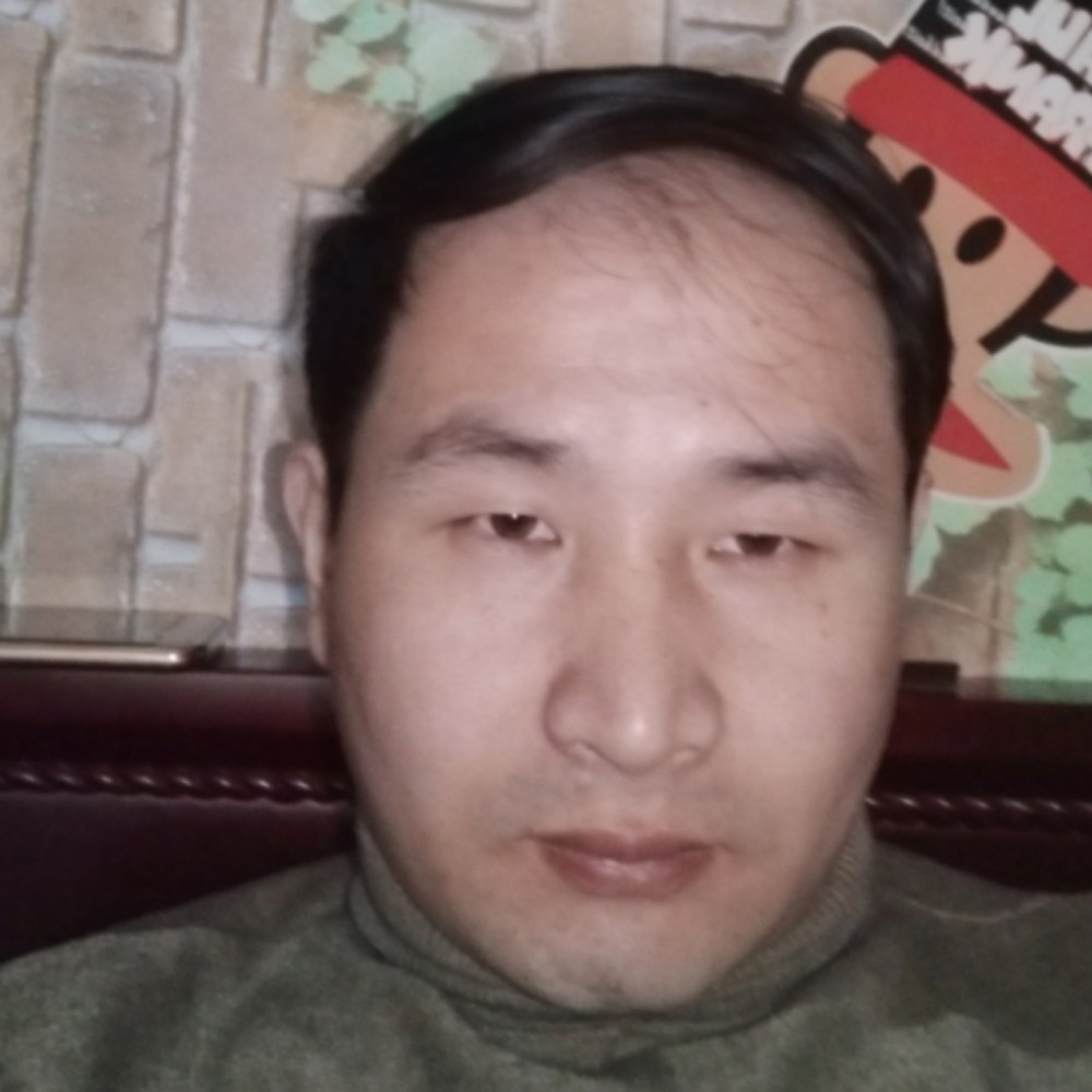 健壮康乃馨的照片