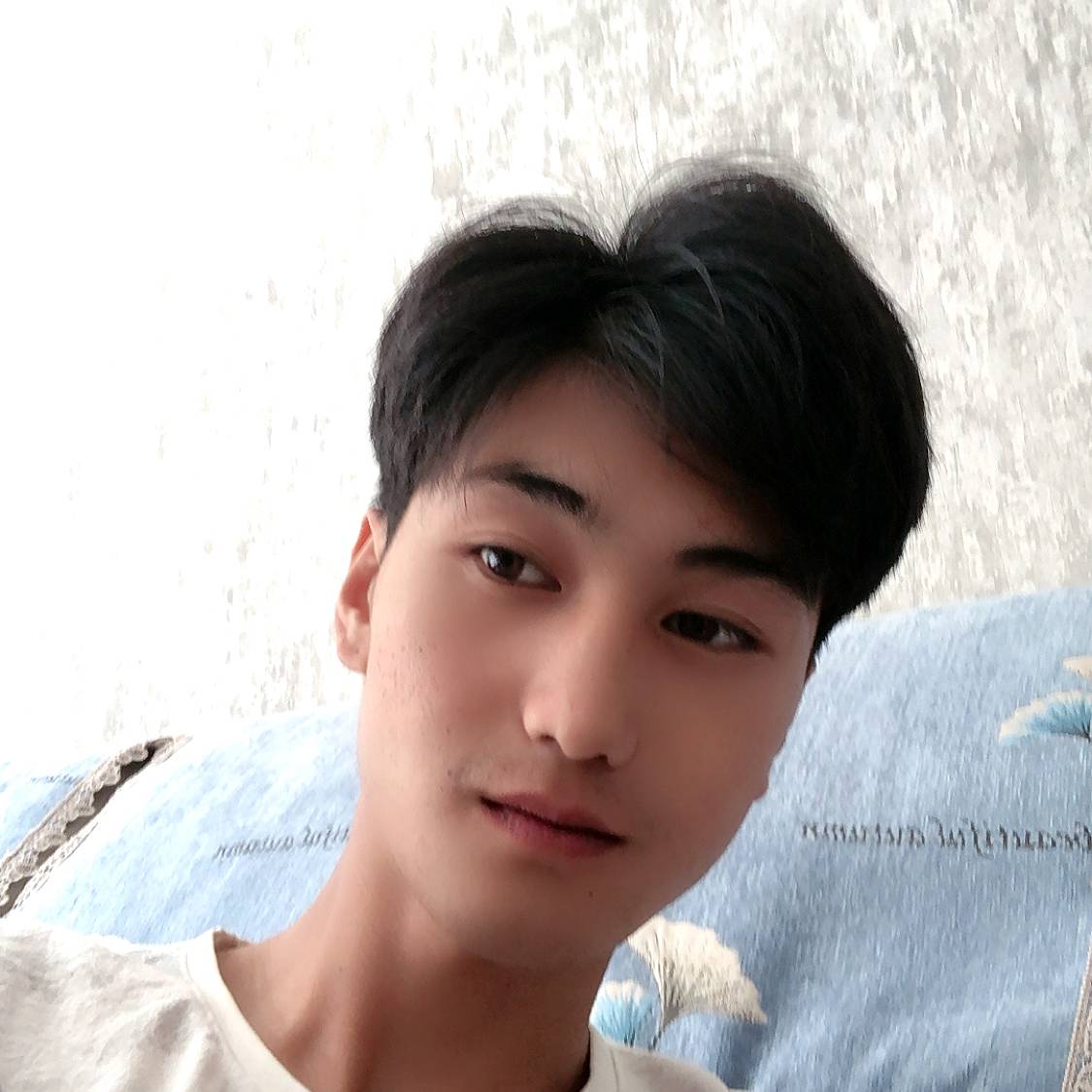 懵懂蝶舞160的照片
