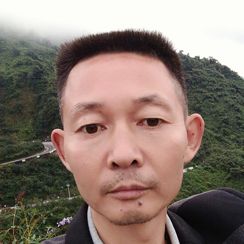 春天等于合适的照片