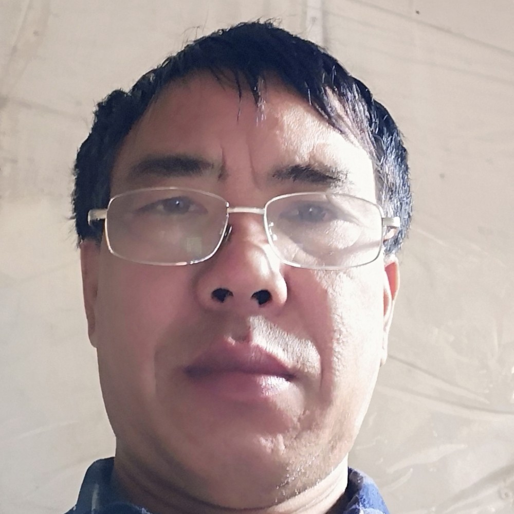 柔弱迎电灯胆的照片
