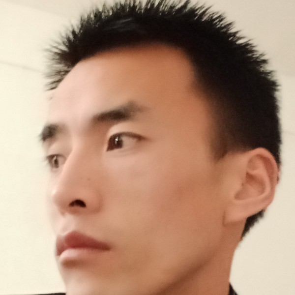 冬日蹁跹风中的照片