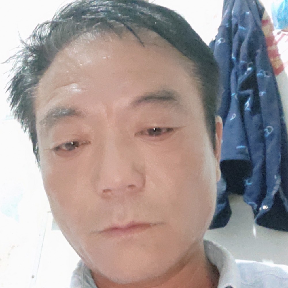 羊背后的照片