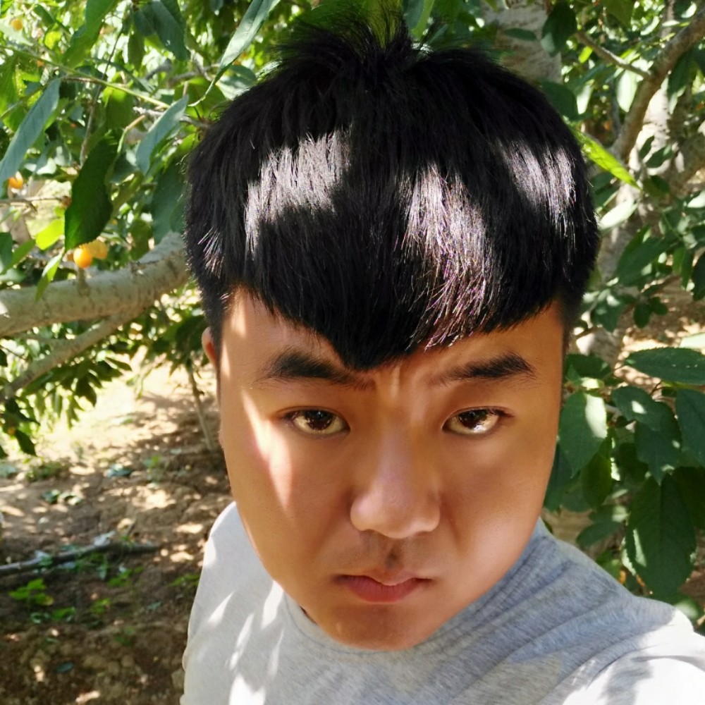 小黑胖的照片