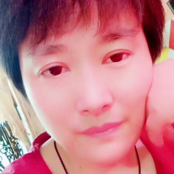 向日葵娇气的照片