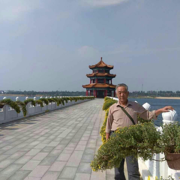 等待春天,你好？的照片