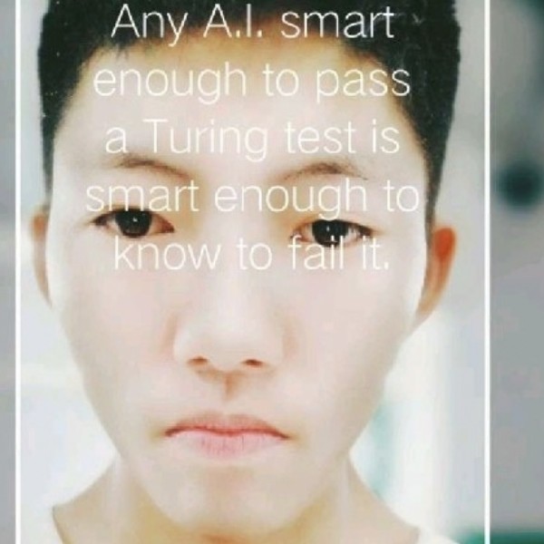 红玫瑰满意的照片