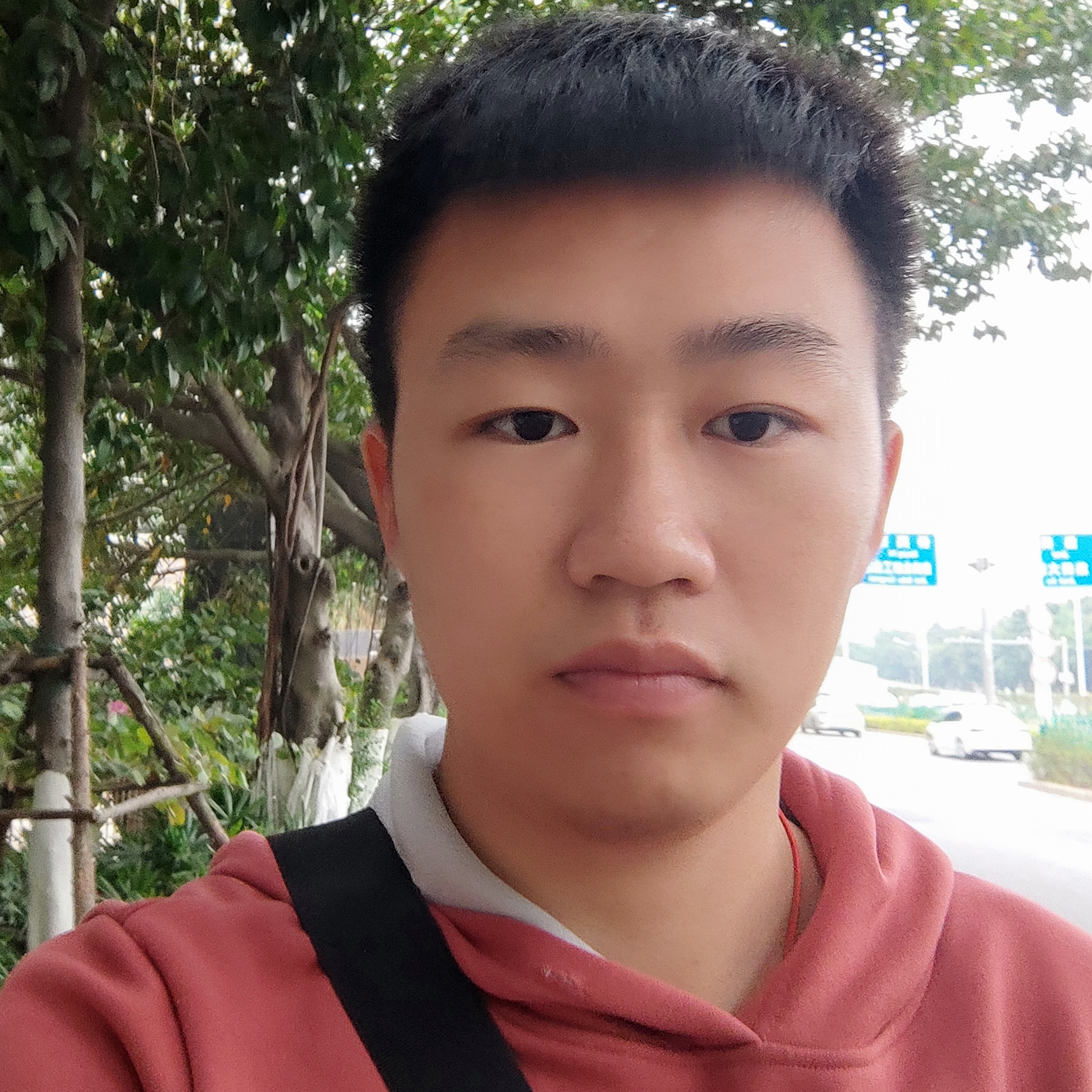 圈之的照片