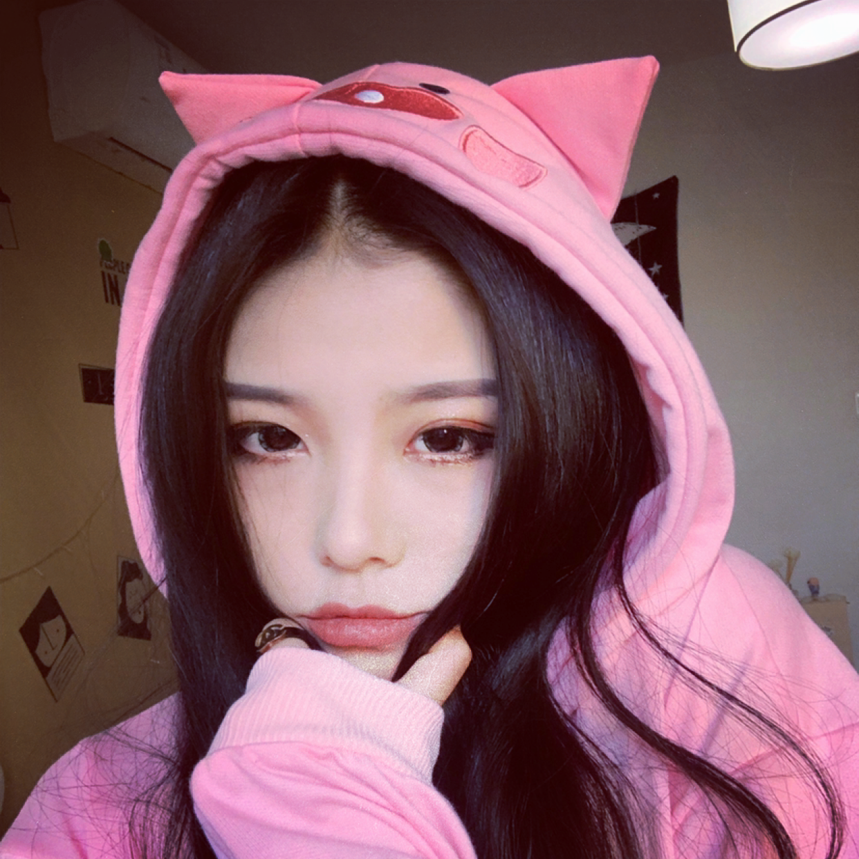粉红色的猪的照片