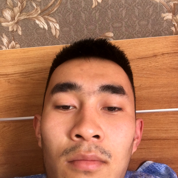 含糊停止泥猴桃的照片