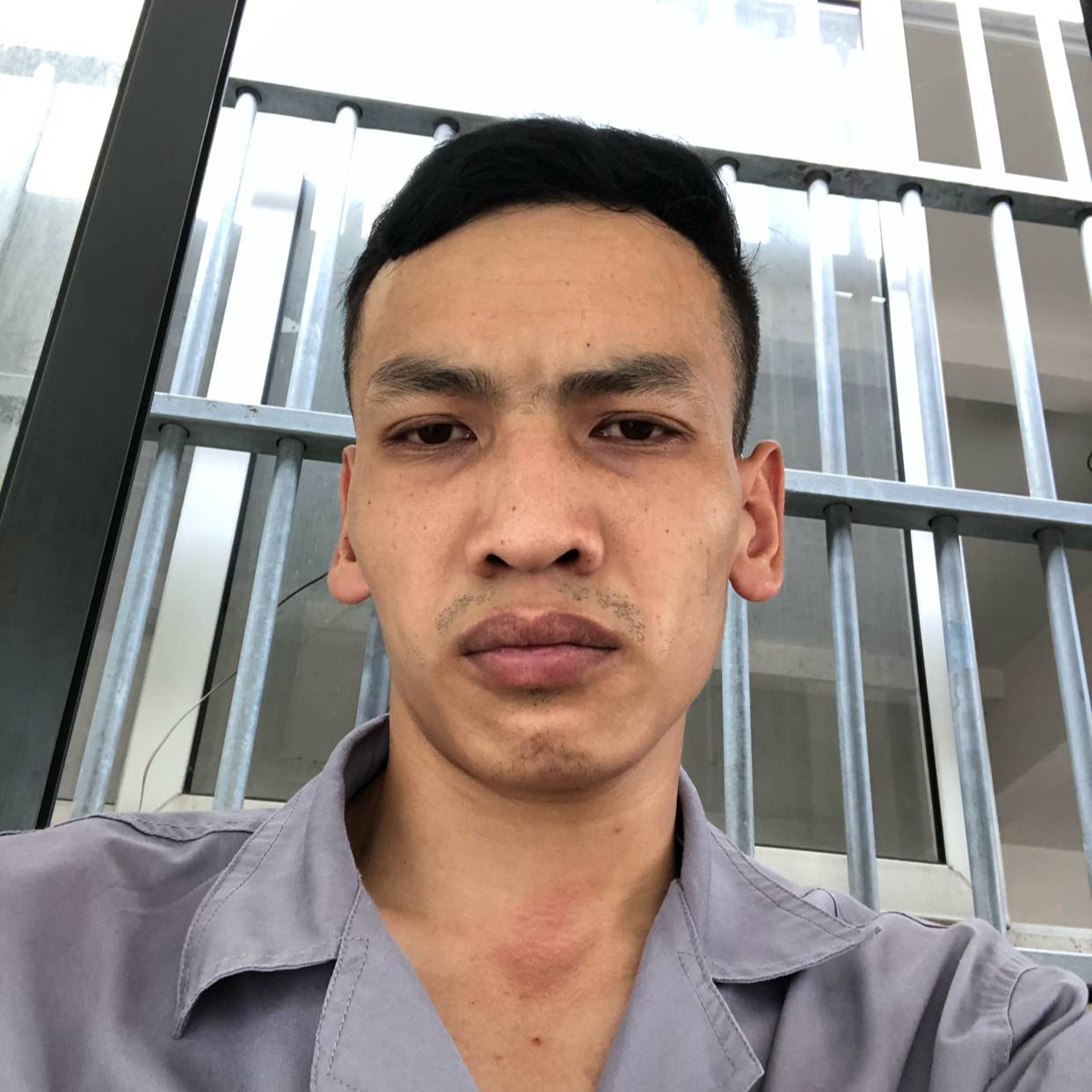斑马相许怡然的照片