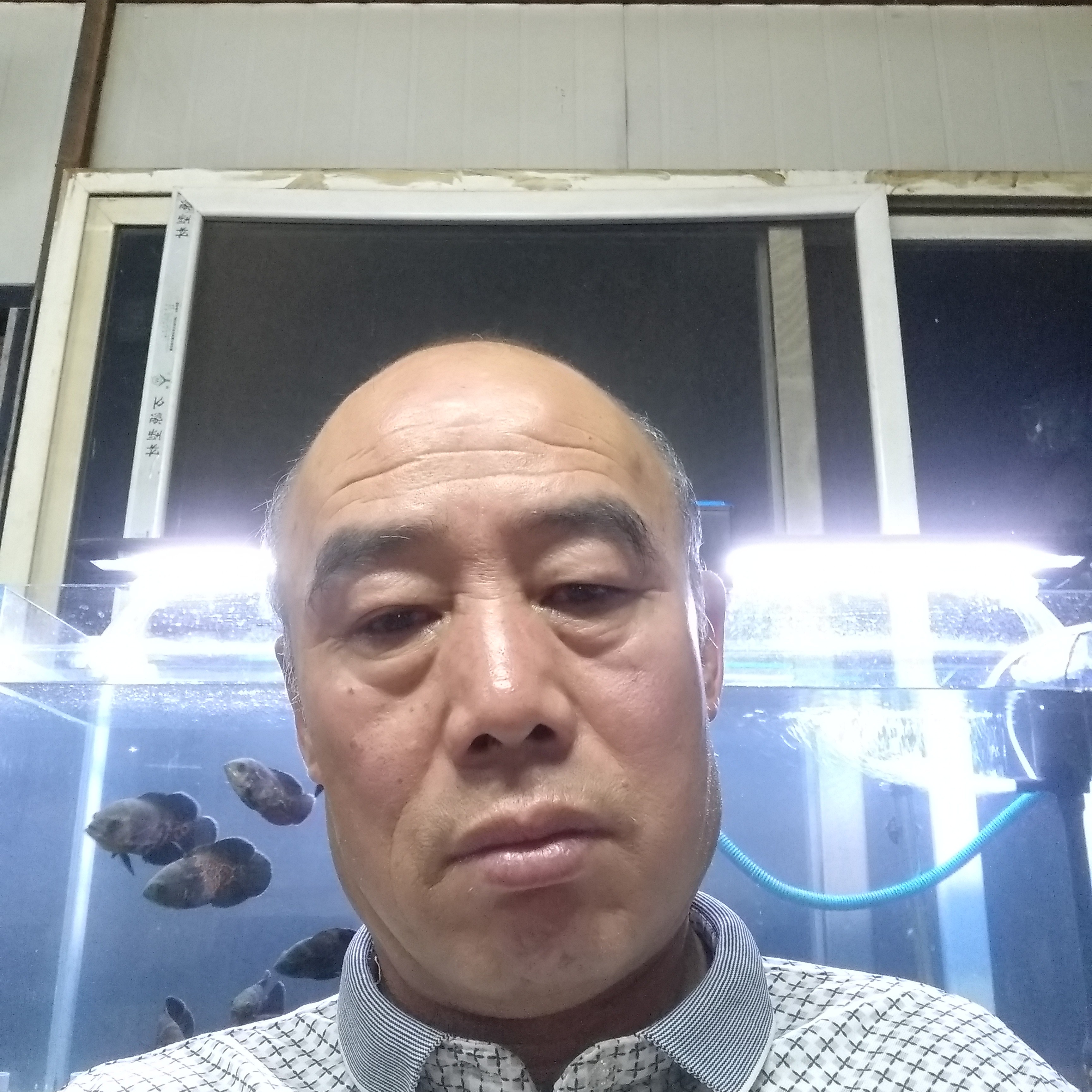 手机相许无私的照片