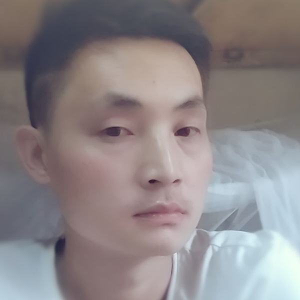 无私大树的照片