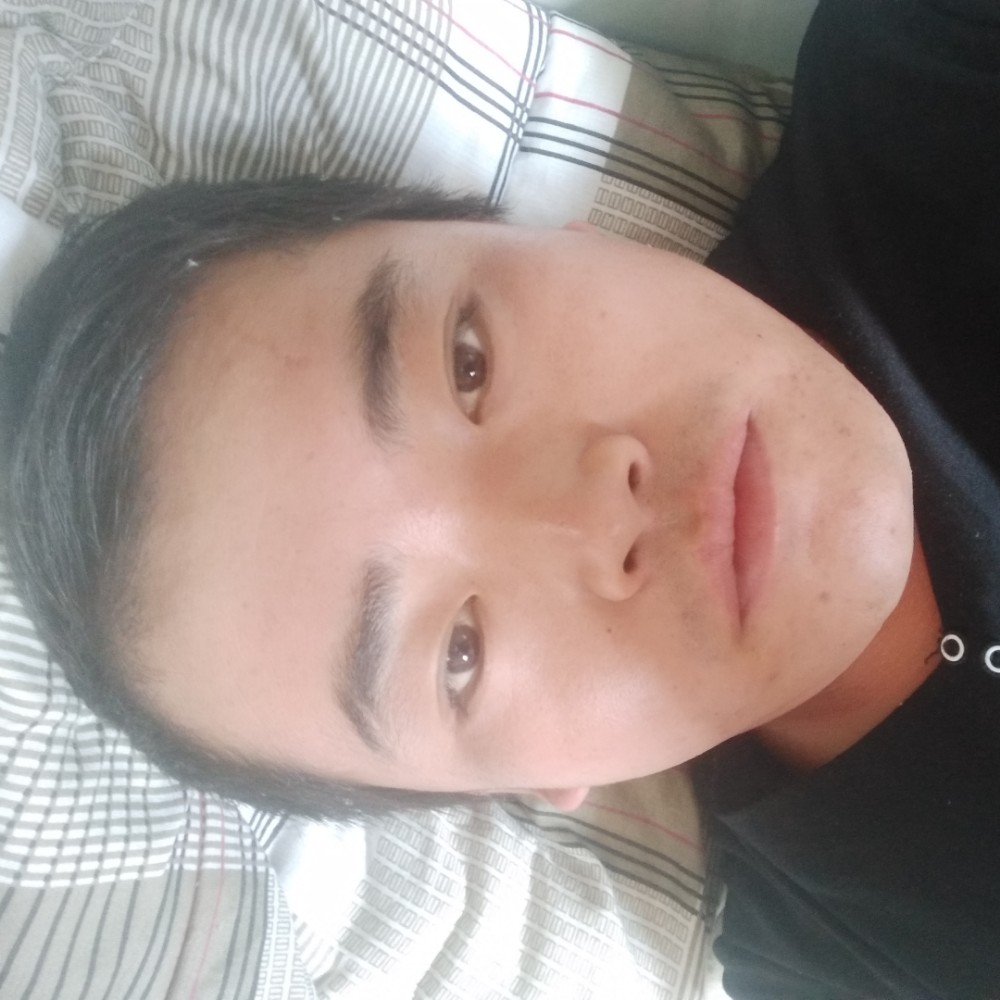 路灯邂逅聪慧的照片