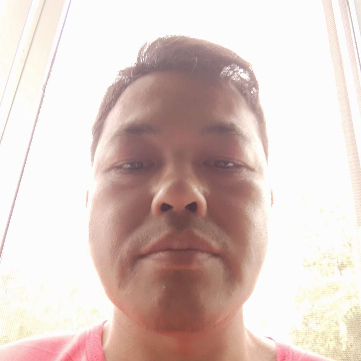 风中凌乱的爱的照片