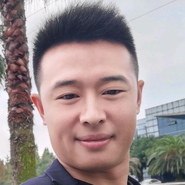 冷静爱恋向日葵的照片