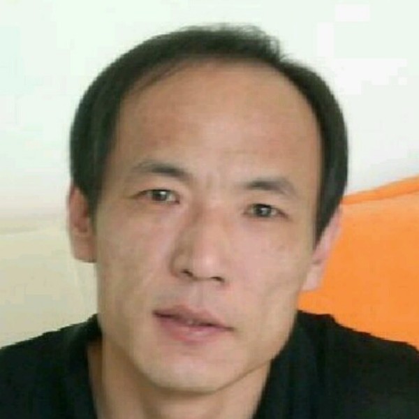 树叶的无语的照片