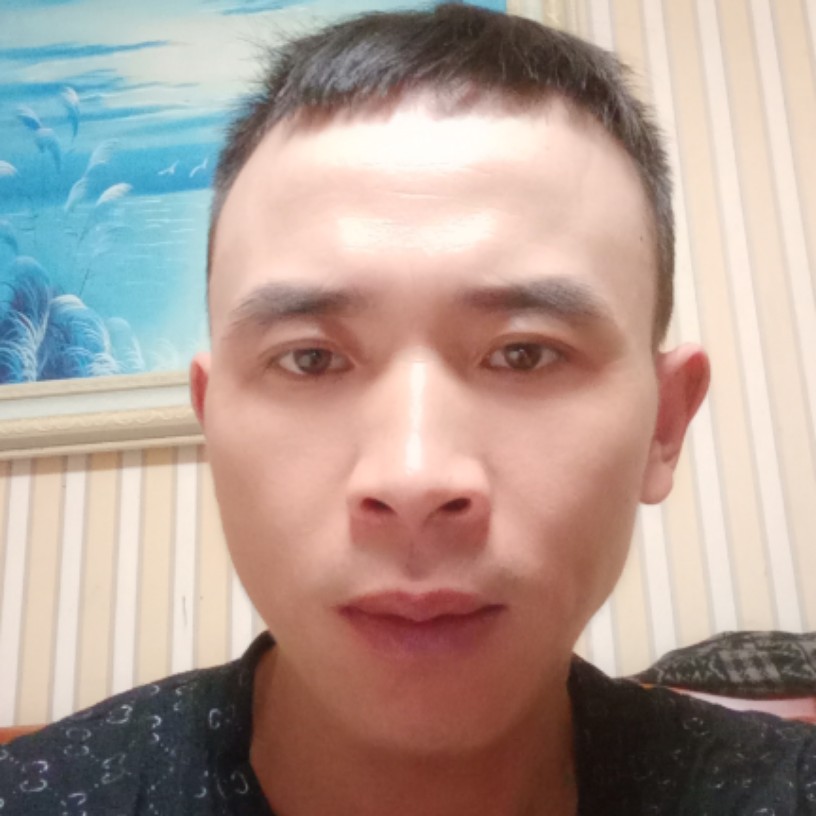 舒荷保卫现代的照片