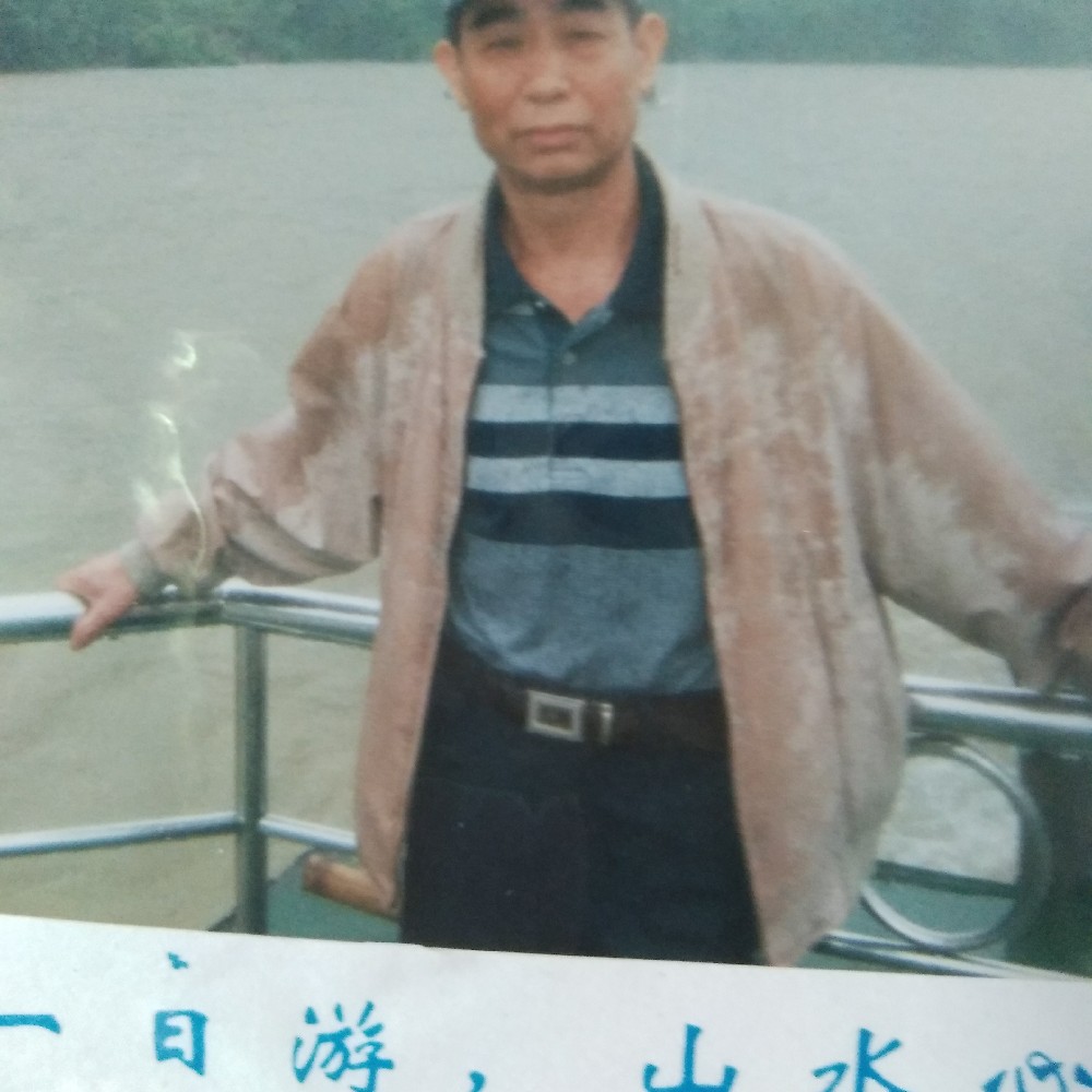 沉静漫步自行车的照片