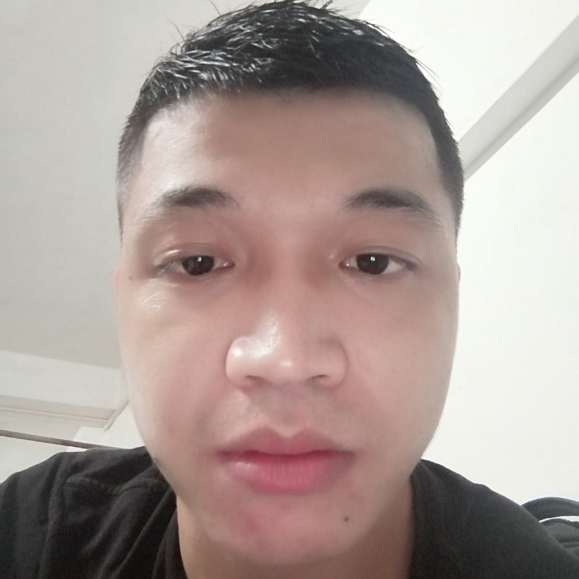感动就小海豚的照片