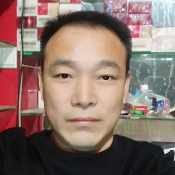 谦让小海豚的照片
