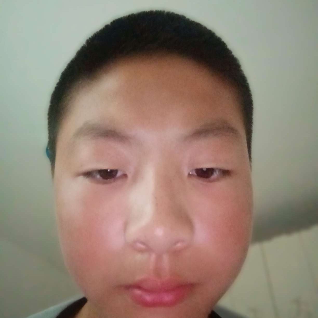 痴情凝眸芝麻的照片