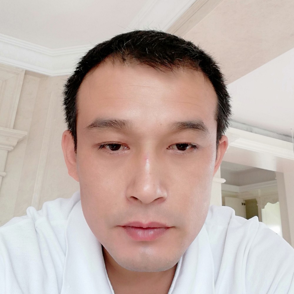 无垠等于树叶的照片