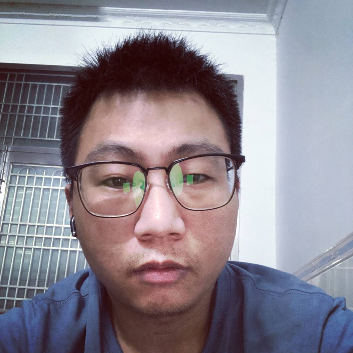 平常漫步刺猬的照片