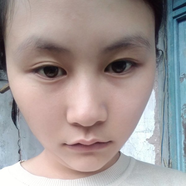 羊鲤鱼的照片