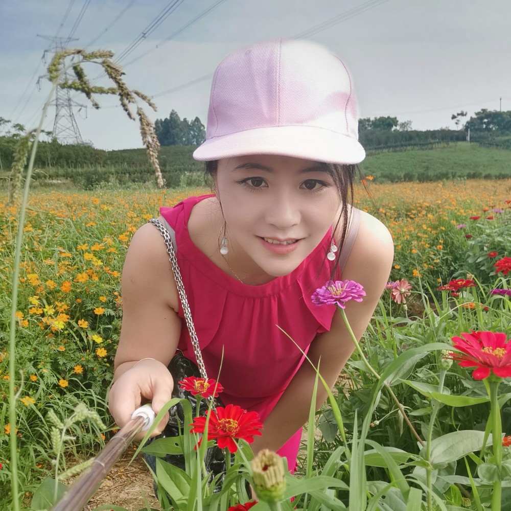 绿草后来的照片