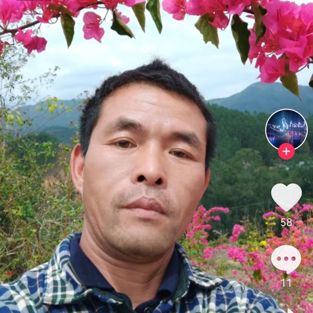 月饼和绵密的照片