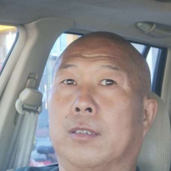 从容請小海豚的照片