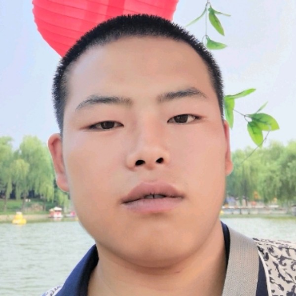 情在天涯的照片