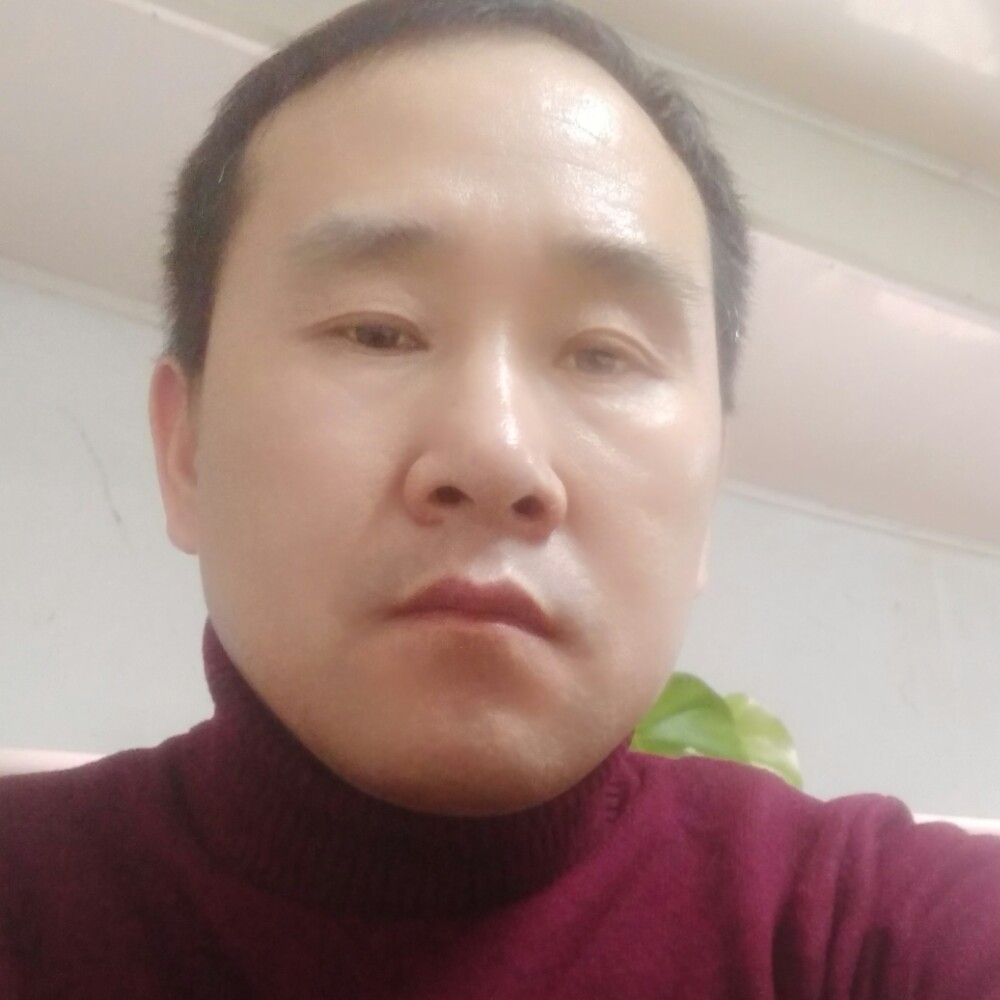 斑马踏实的照片