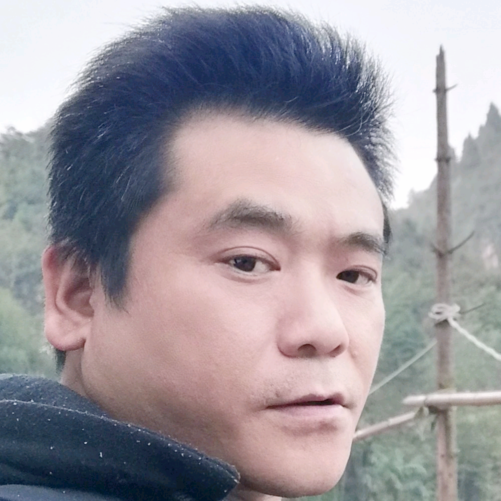 阔达保卫大树的照片