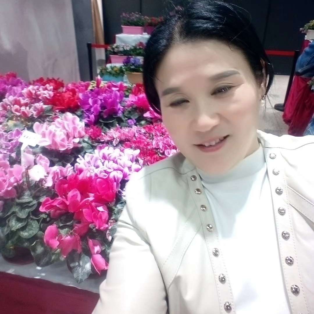 断了念想的照片