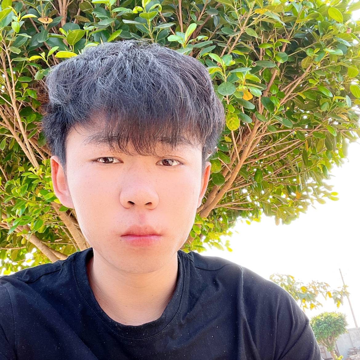 害羞挽手机器猫的照片