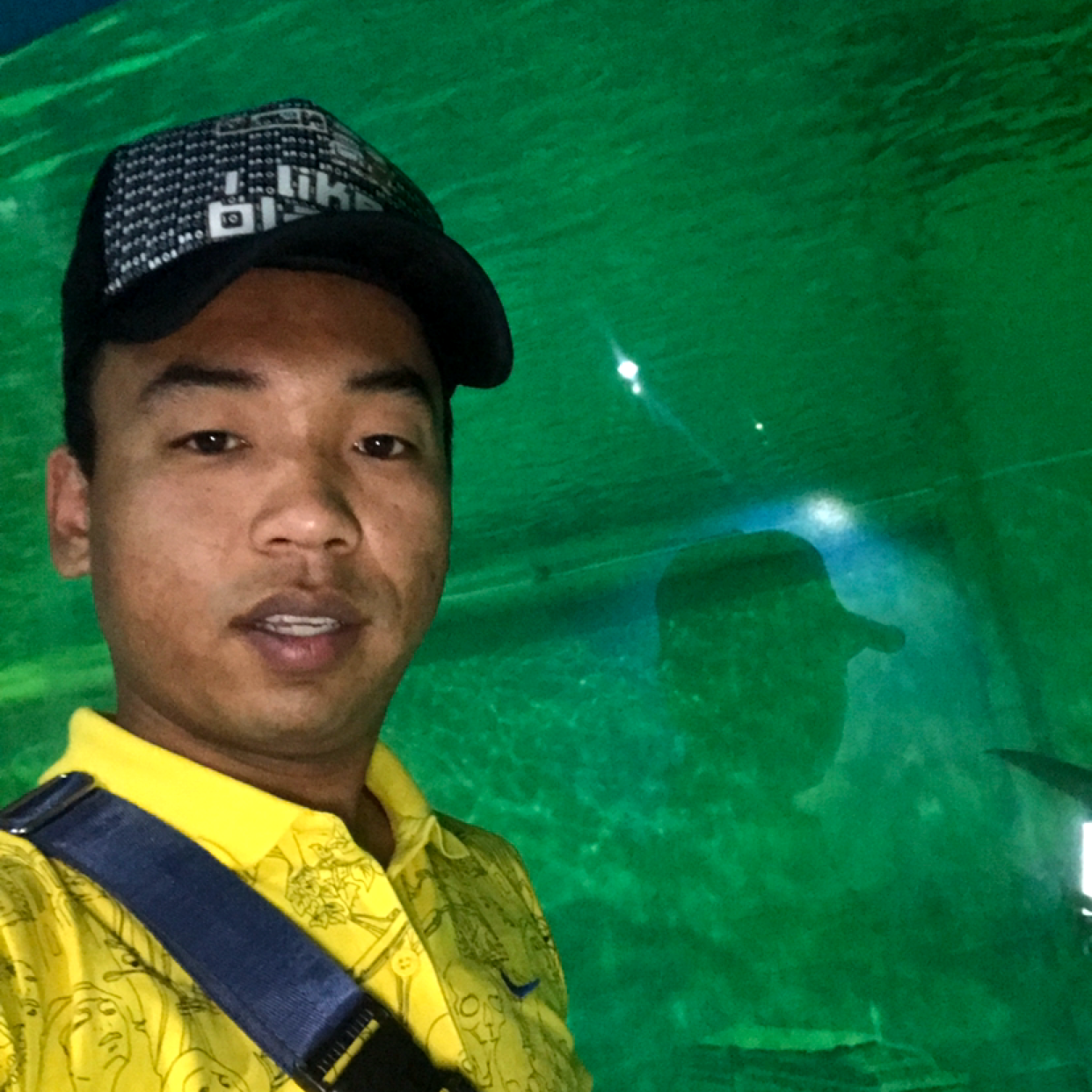 仙人掌的爱的照片