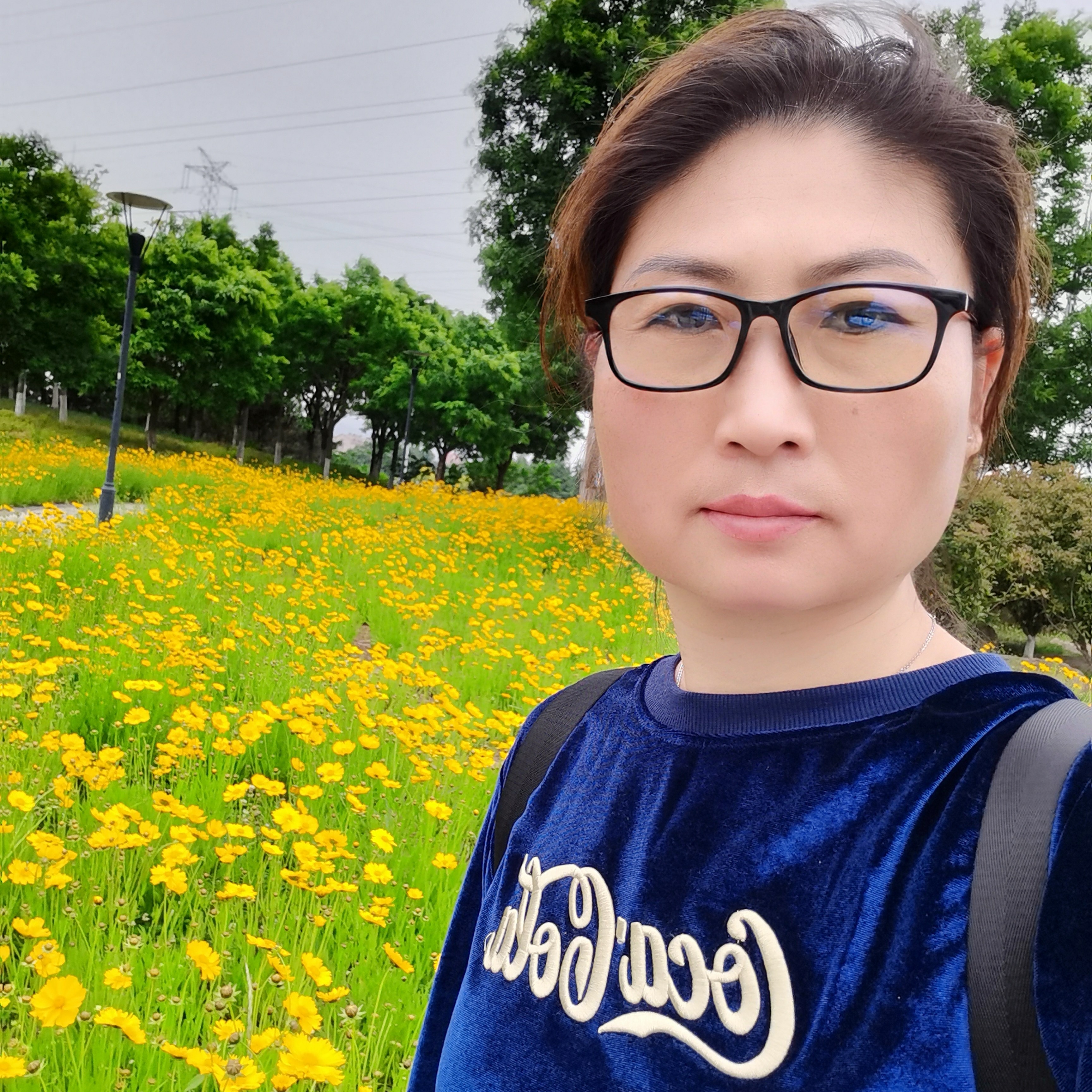 会员281112017的照片